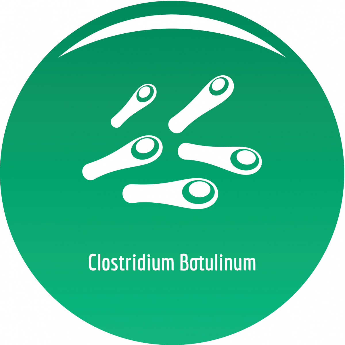 Tegnet bilde av clostridium botulinum. Bakterier inne i en grønn sirkel