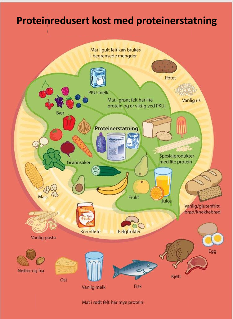 Illustrasjon som viser proteinredusert kost