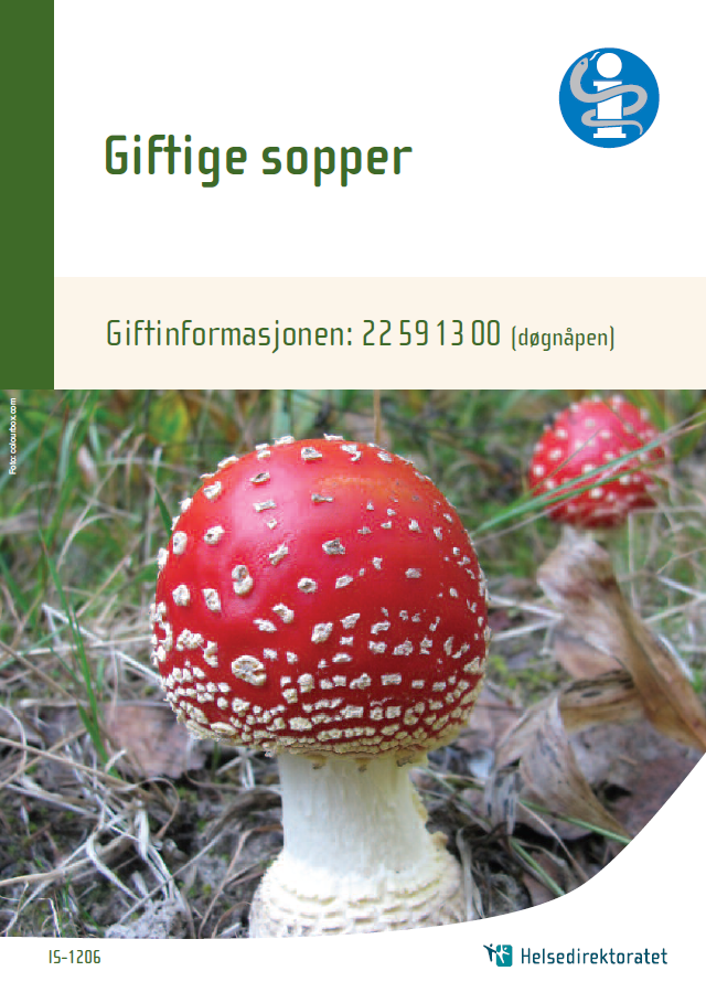 Forside av brosjyre om giftige sopper