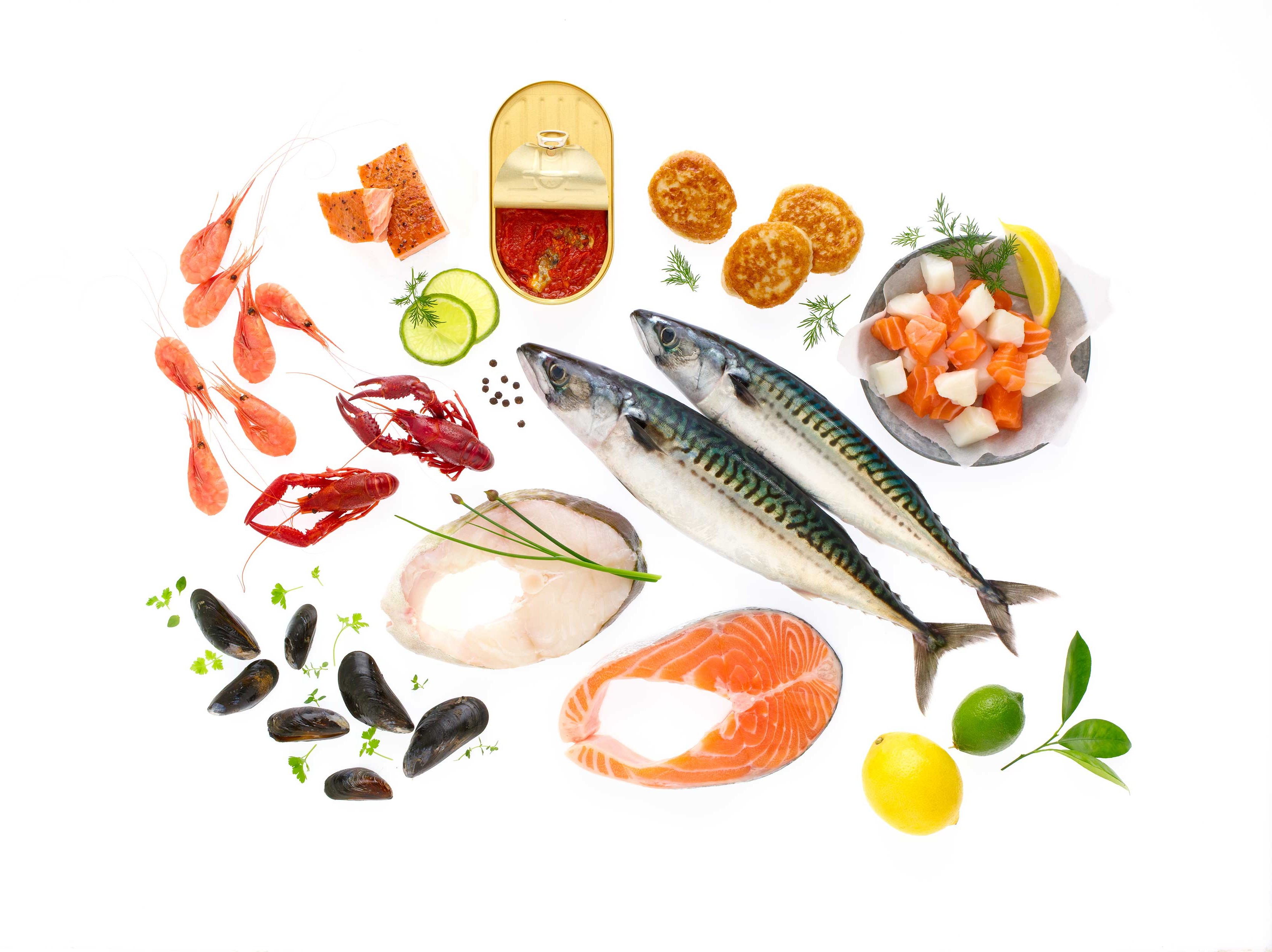 Forskjellige typer fisk og fiskeprodukter