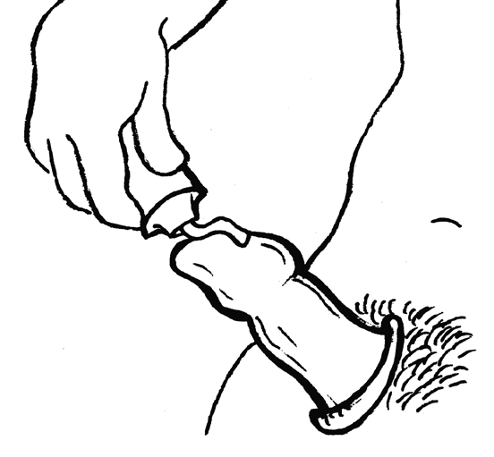 Bilde av ein hand som tek på glidemiddel på eit kondom.