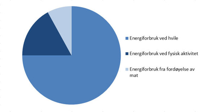 En omtrentlig fordeling av kroppens energiforbruk