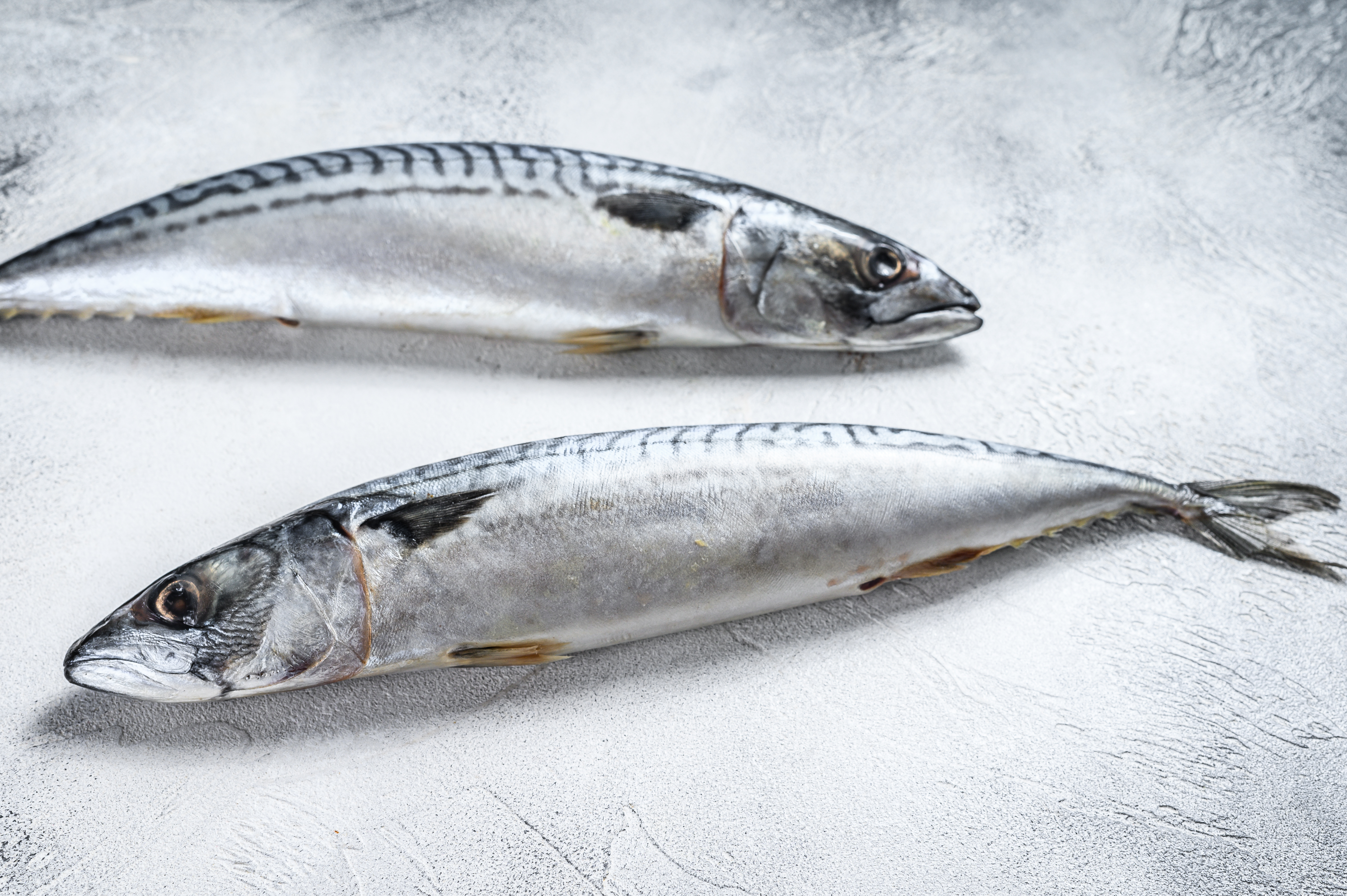 Fiskeallergi innebærer reaksjon mot proteinene fra én eller flere fiskesorter. 