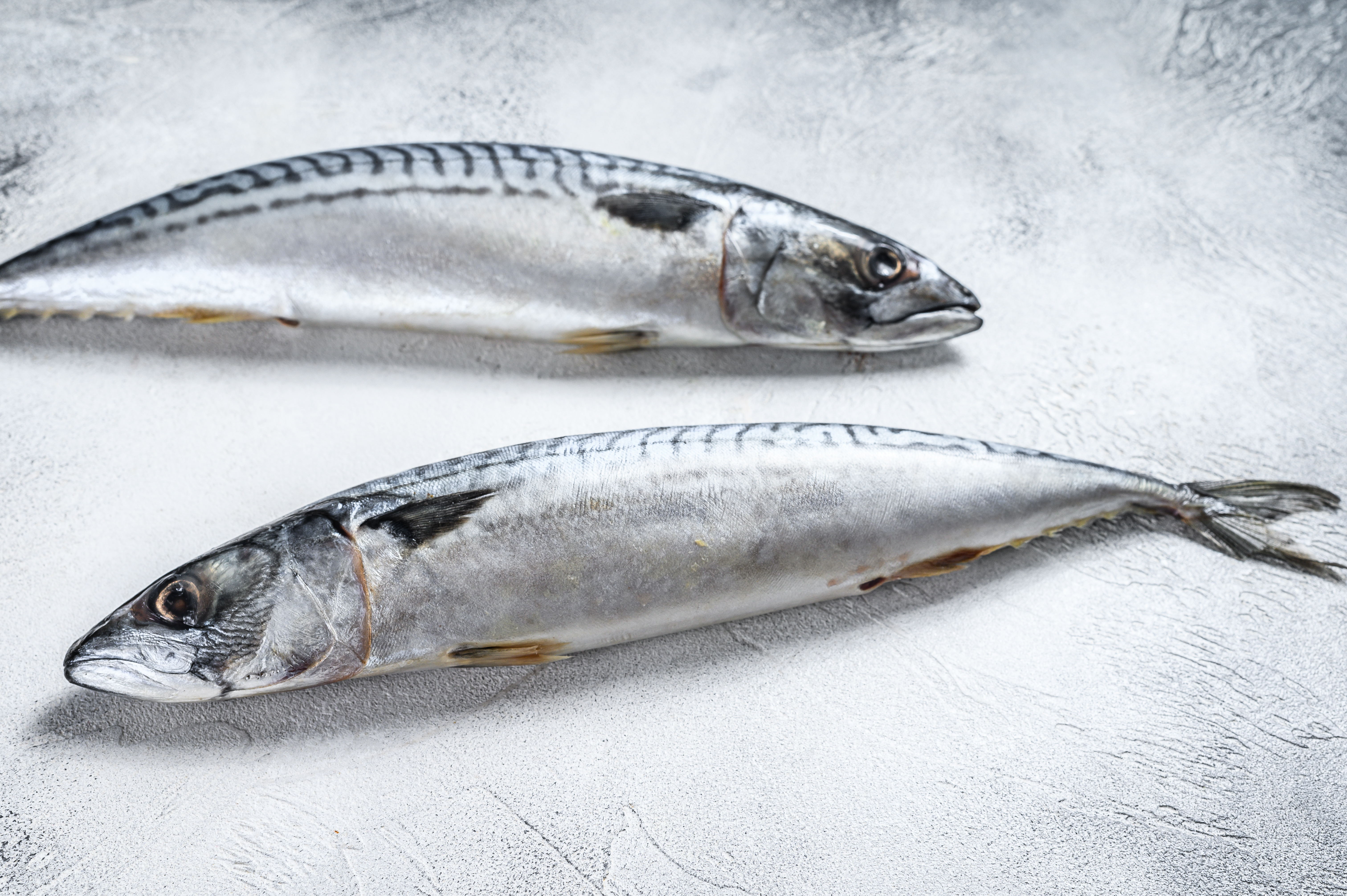Fiskeallergi innebærer reaksjon mot proteinene fra én eller flere fiskesorter.