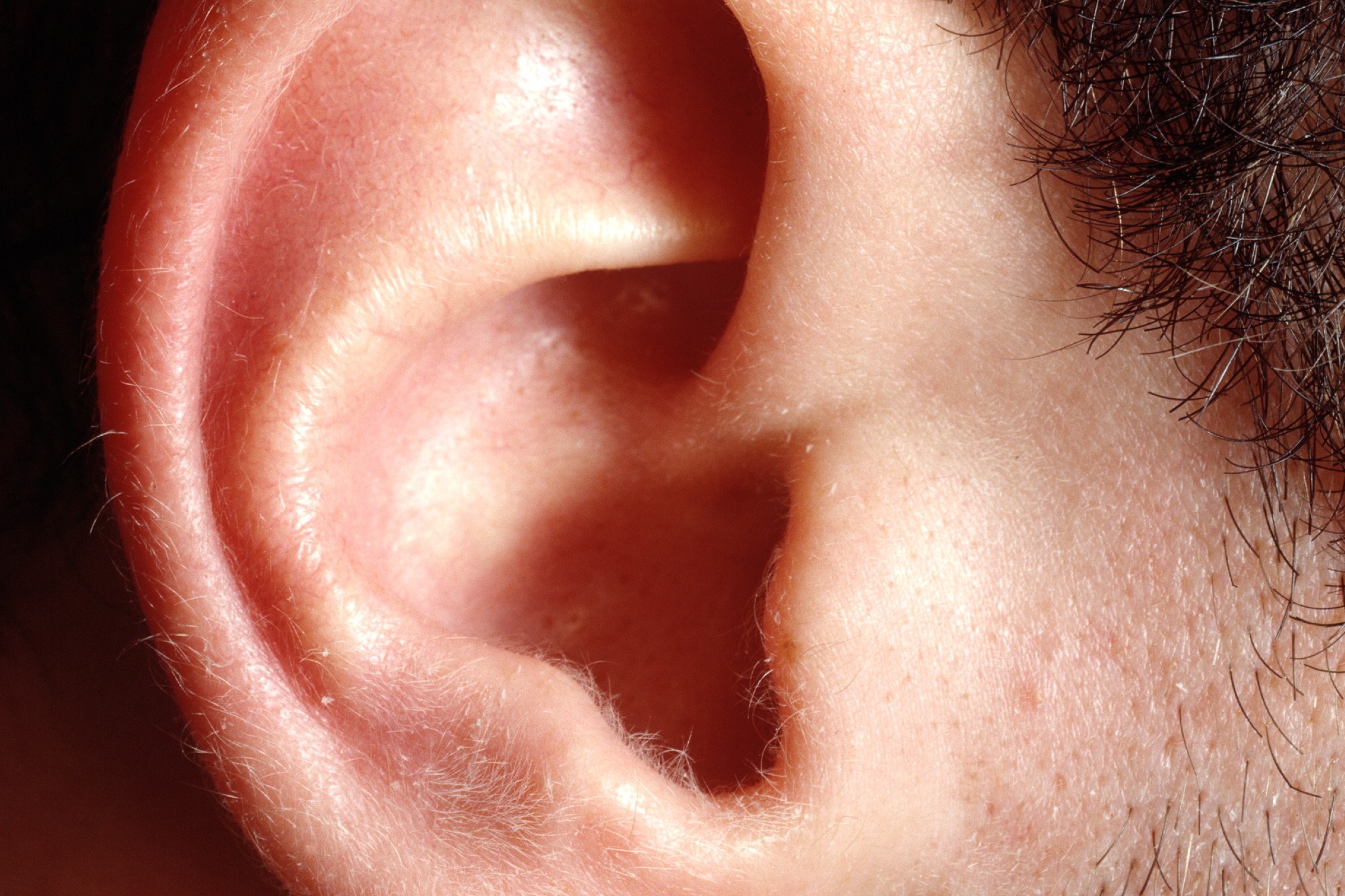Nærbilde av øret til en mann