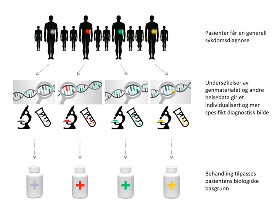 Bilde  som skisserer stegene i persontilpasset medisin: diagnose. undersøkelse av genmateriale og andre helsedata og behandling