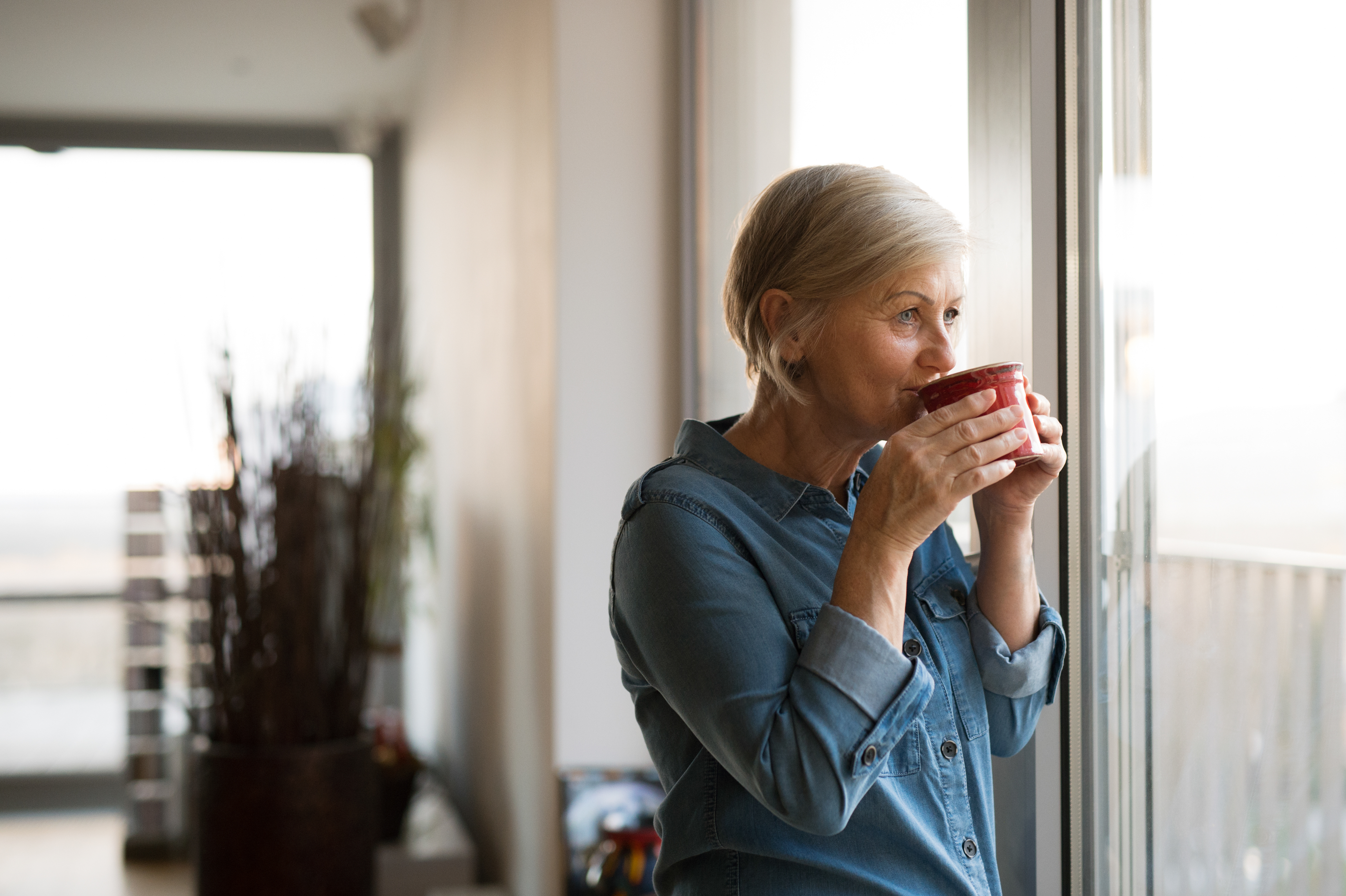 Beautiful senior woman at home standing at the window in her living room holding a cup of coffee or tea, smiling