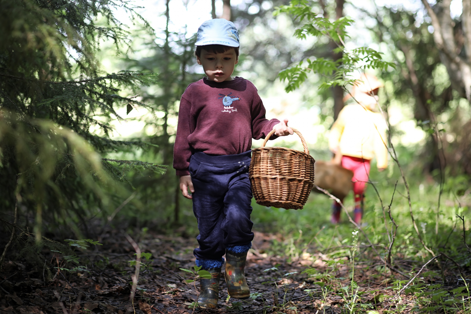 Child walking in the forest with a basket, looking for mushrooms