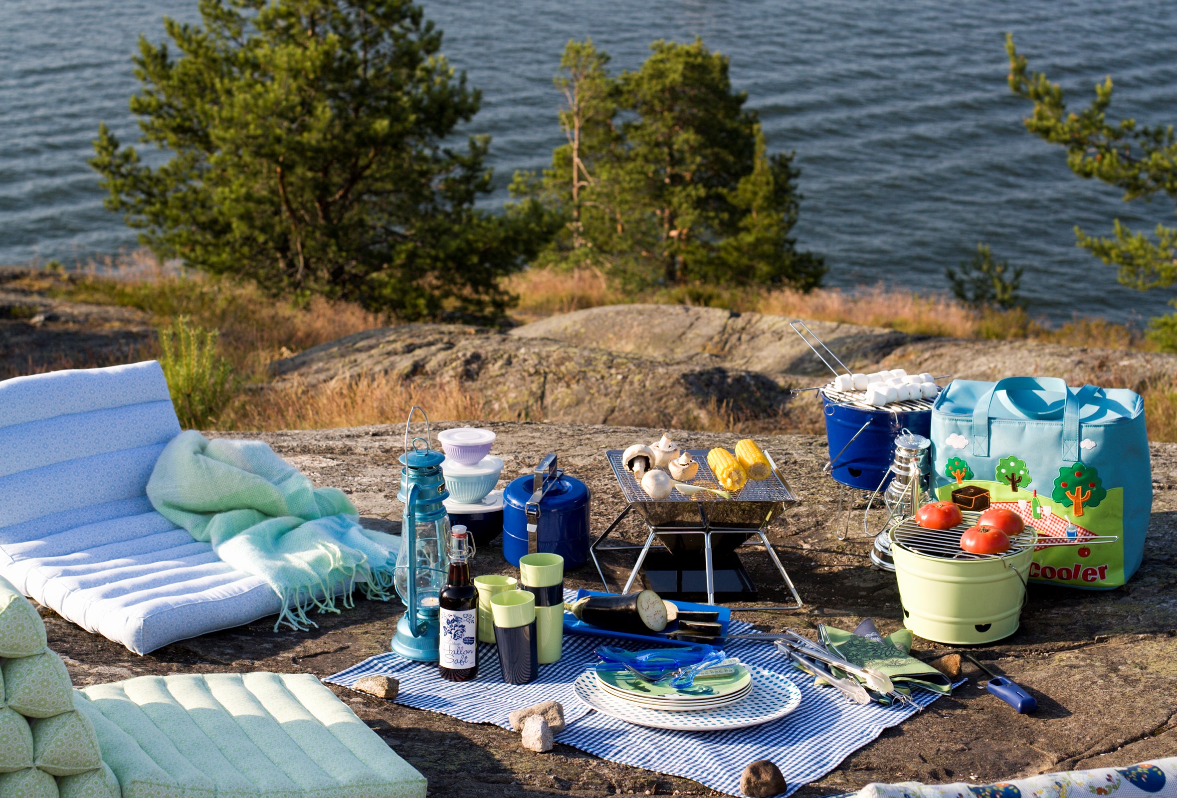 Grilling ute ved vannet